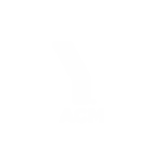 ACM-logo2